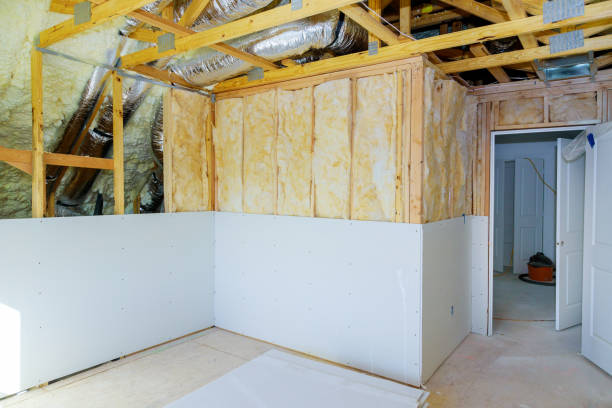 Best Basement Insulation  in Gladeview, FL