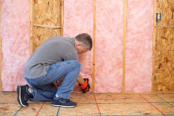 Best Spray Foam Insulation  in Gladeview, FL